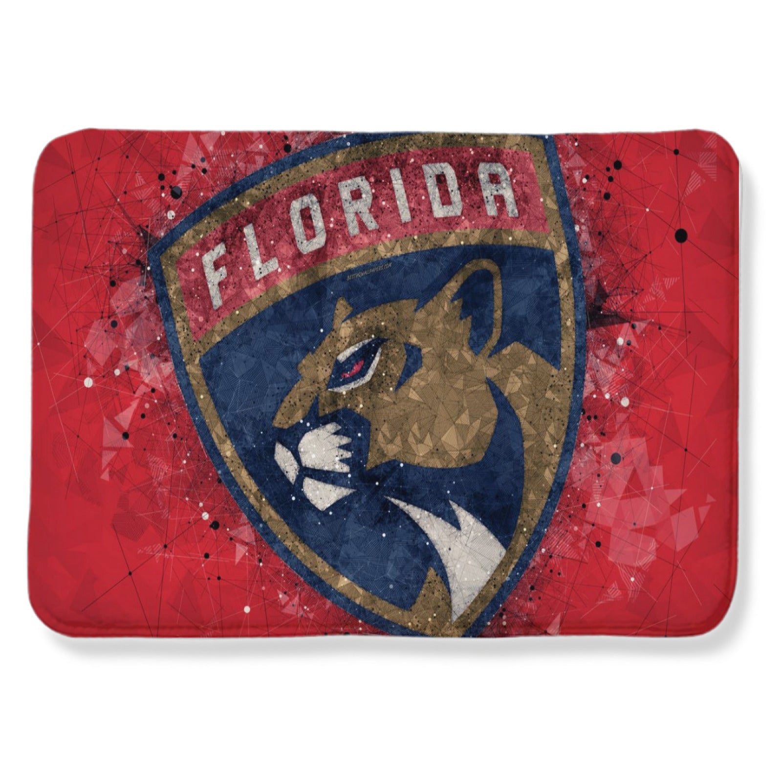 Florida Panthers Hockey League Carpet Living Room Bedroom Mats Kitchen Bathroom Rugs