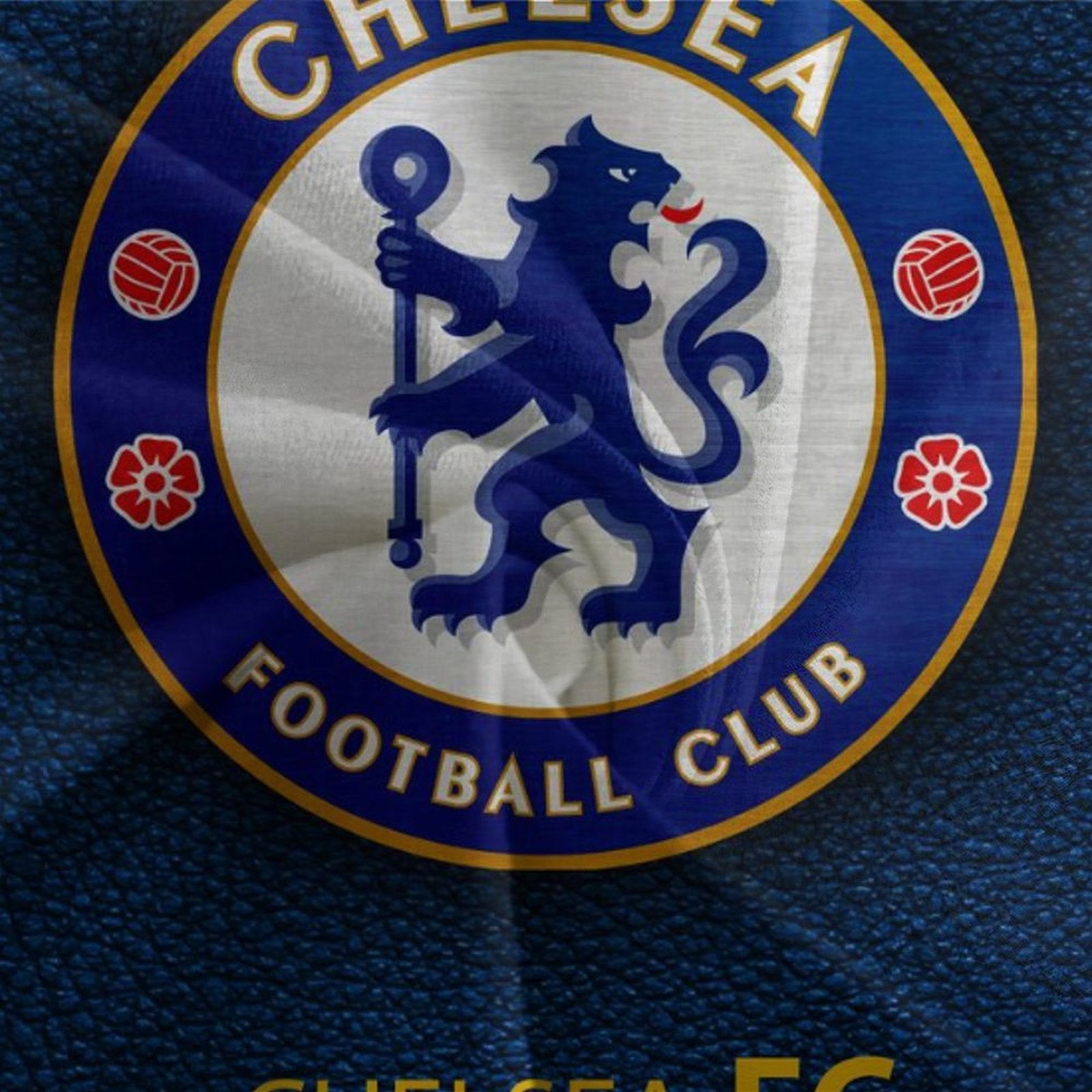 2024 NEW Chelsea Football Club Bedding Set Quilt Cover Without Filler