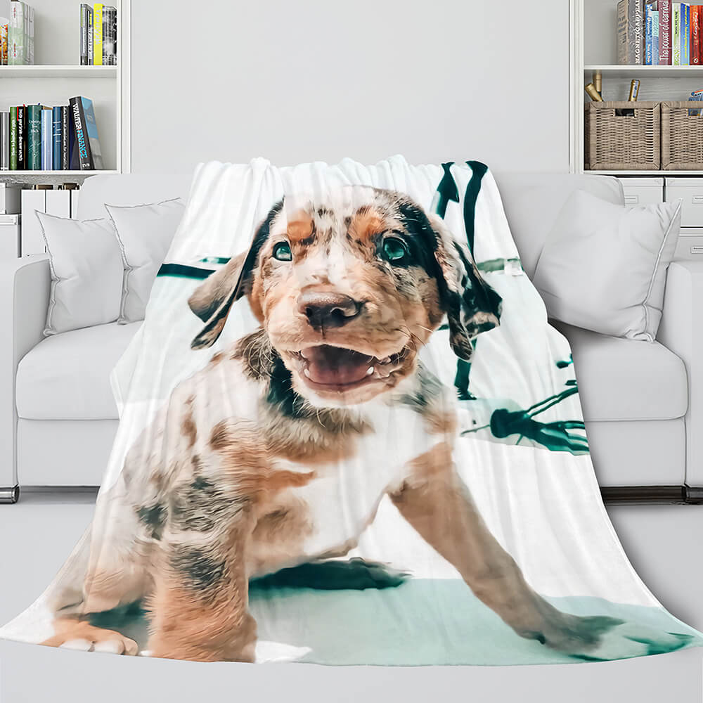 2024 NEW Pet Puppy Dog Flannel Blanket Room Decoration